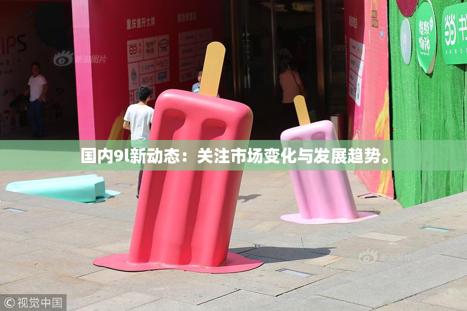 国内9l新动态：关注市场变化与发展趋势。