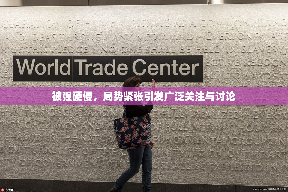 被强硬侵，局势紧张引发广泛关注与讨论