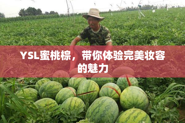 YSL蜜桃棕，带你体验完美妆容的魅力