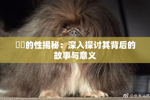 妺妺的性揭秘：深入探讨其背后的故事与意义