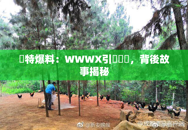 獨特爆料：WWWX引發熱議，背後故事揭秘