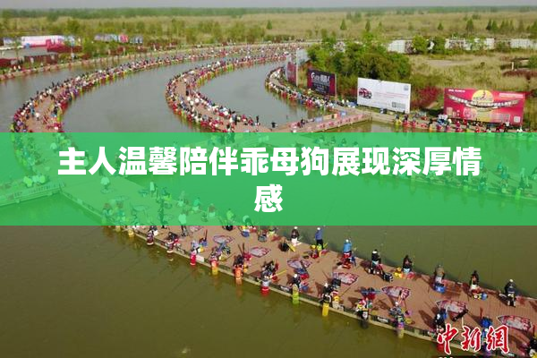 主人温馨陪伴乖母狗展现深厚情感