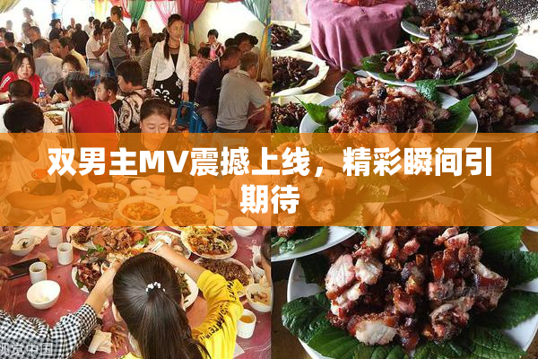 双男主MV震撼上线，精彩瞬间引期待