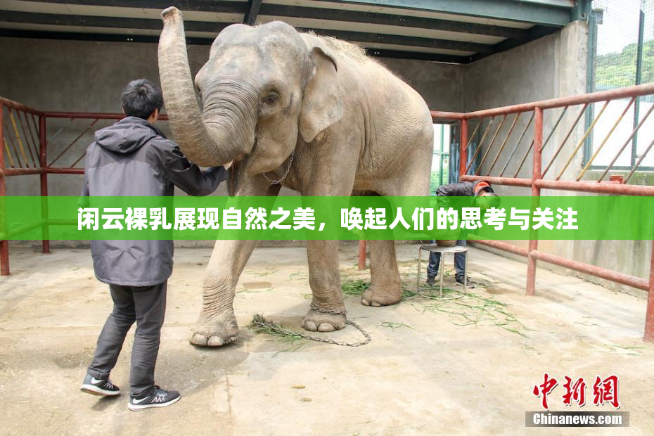 闲云裸乳展现自然之美，唤起人们的思考与关注