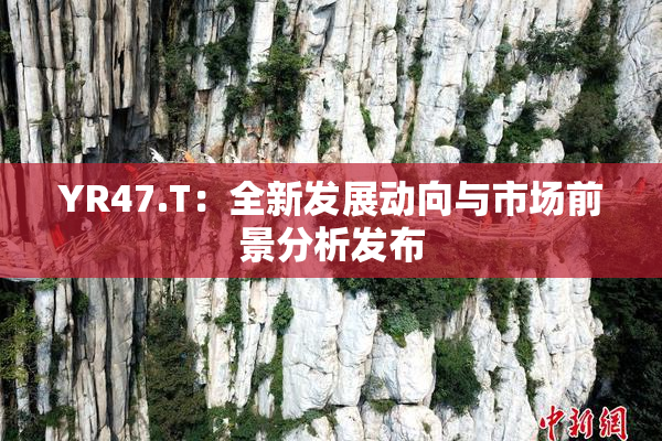 YR47.T：全新发展动向与市场前景分析发布