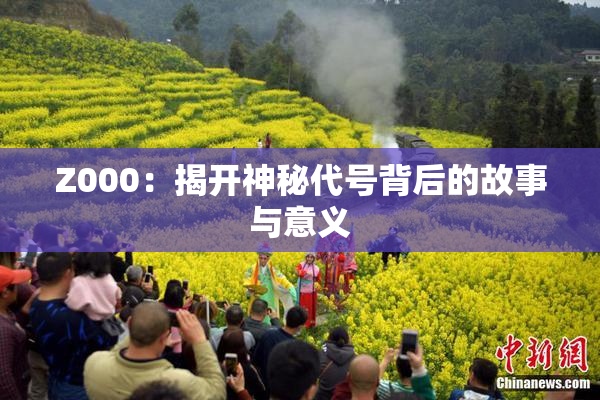 Z000：揭开神秘代号背后的故事与意义