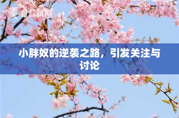 小胖奴的逆袭之路，引发关注与讨论