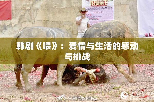 韩剧《喂》：爱情与生活的感动与挑战