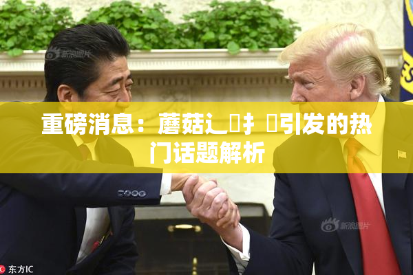重磅消息：蘑菇辶喿扌畐引发的热门话题解析