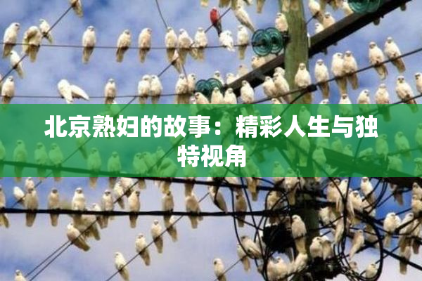 北京熟妇的故事：精彩人生与独特视角