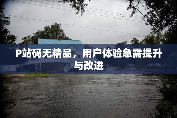 P站码无精品，用户体验急需提升与改进