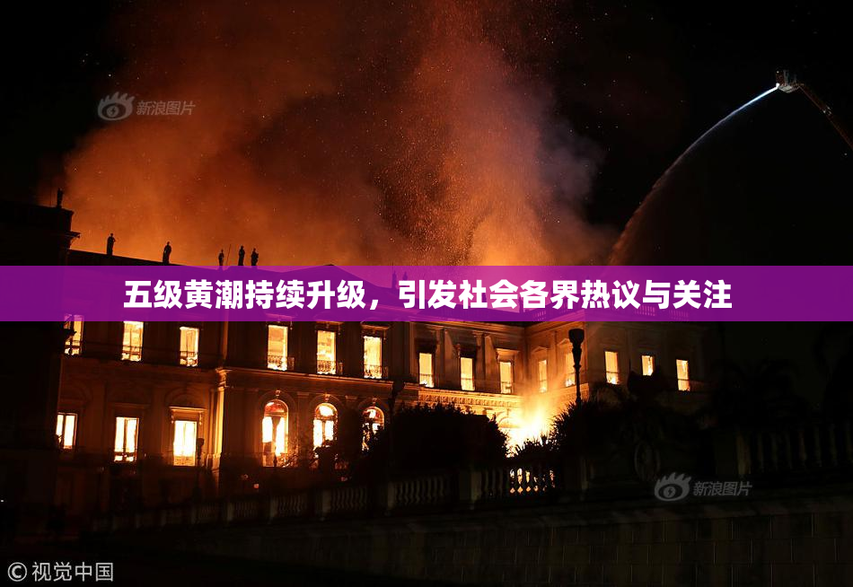 五级黄潮持续升级，引发社会各界热议与关注
