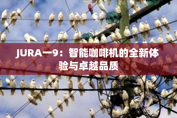JURA一9：智能咖啡机的全新体验与卓越品质