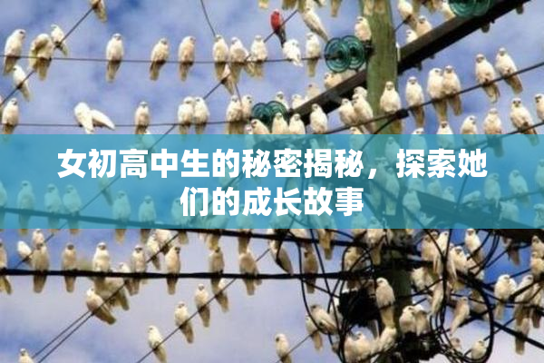 女初高中生的秘密揭秘，探索她们的成长故事