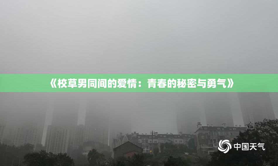 《校草男同间的爱情：青春的秘密与勇气》