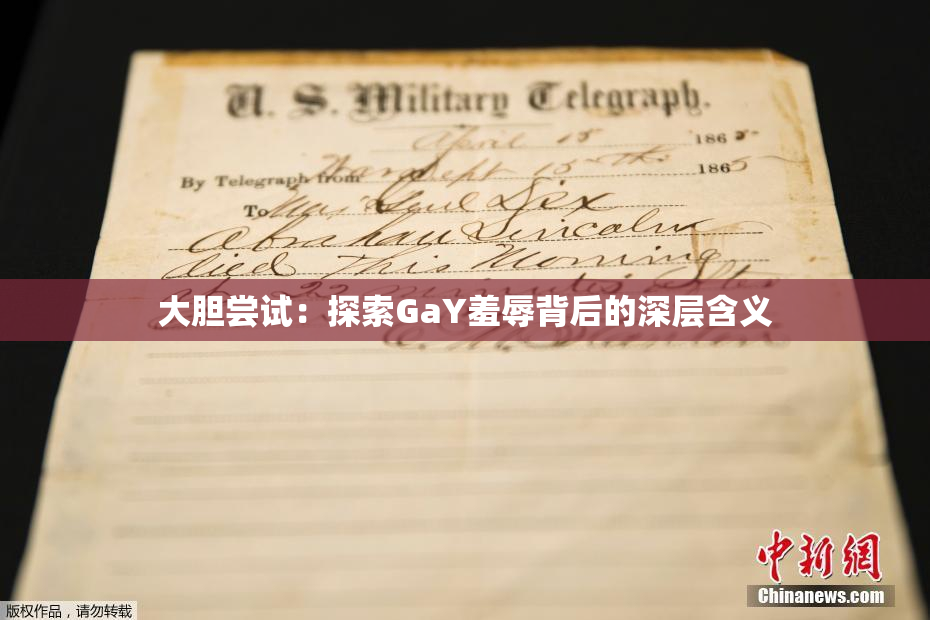 大胆尝试：探索GaY羞辱背后的深层含义