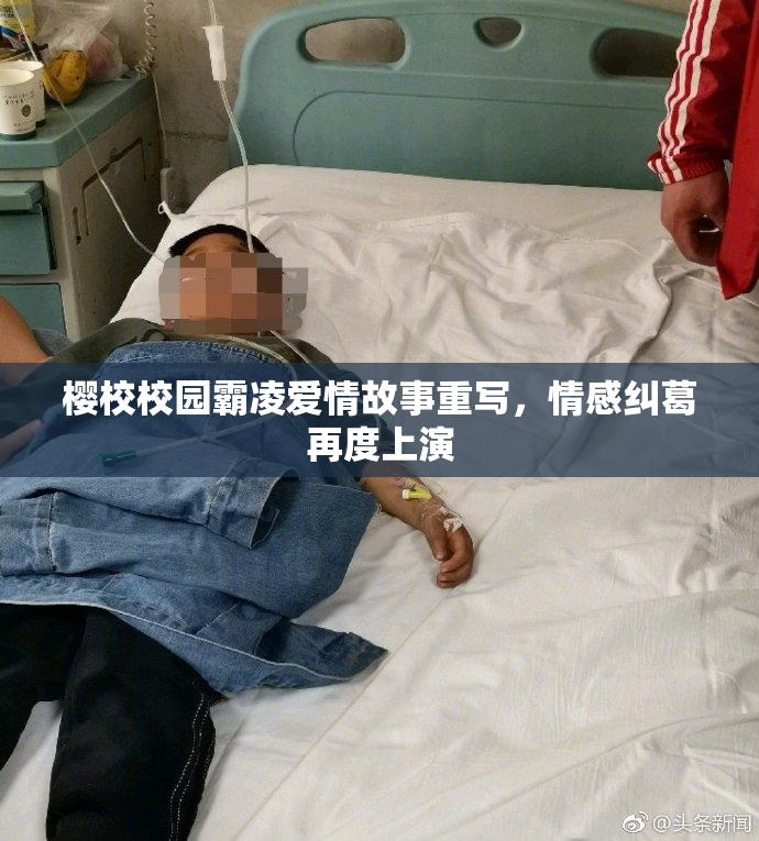 樱校校园霸凌爱情故事重写，情感纠葛再度上演
