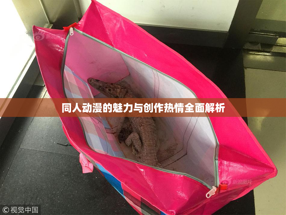 同人动漫的魅力与创作热情全面解析