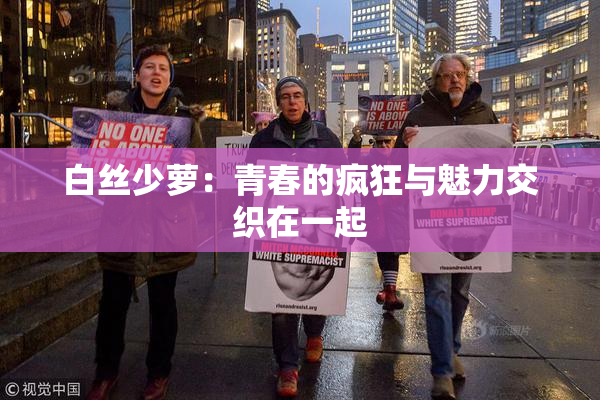 白丝少萝：青春的疯狂与魅力交织在一起