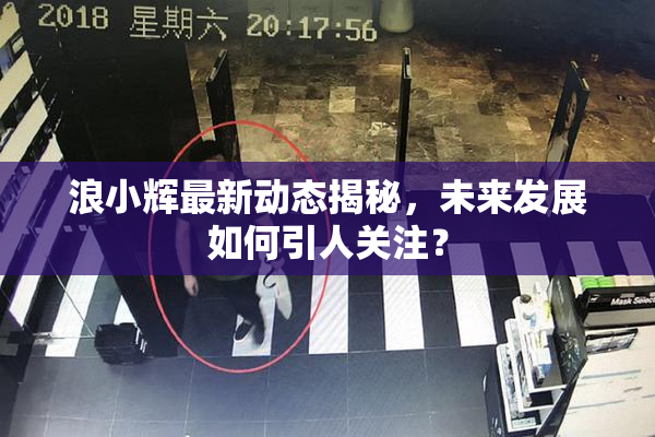 浪小辉最新动态揭秘，未来发展如何引人关注？