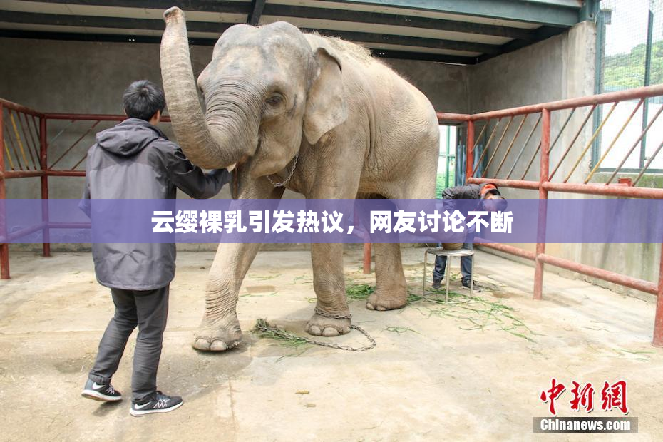 云缨裸乳引发热议，网友讨论不断