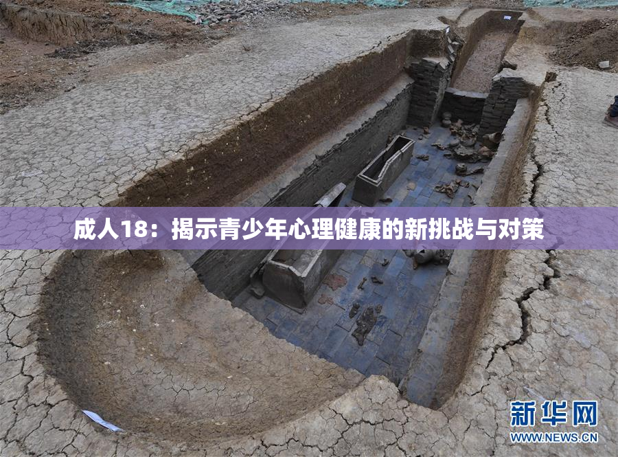 成人18：揭示青少年心理健康的新挑战与对策