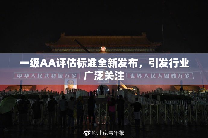 一级AA评估标准全新发布，引发行业广泛关注
