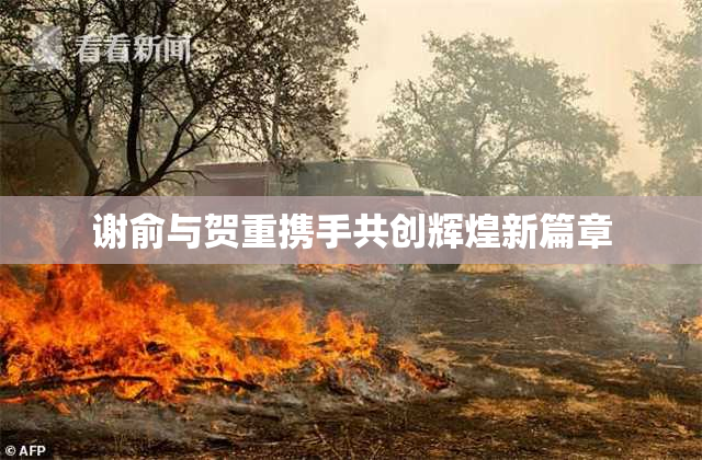 谢俞与贺重携手共创辉煌新篇章