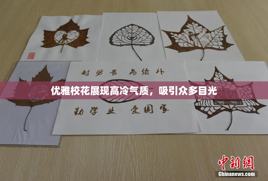 优雅校花展现高冷气质，吸引众多目光
