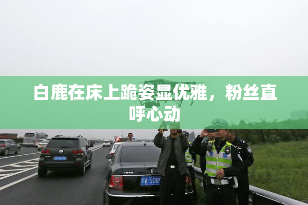 白鹿在床上跪姿显优雅，粉丝直呼心动
