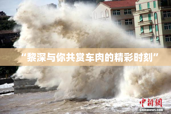 “黎深与你共赏车肉的精彩时刻”