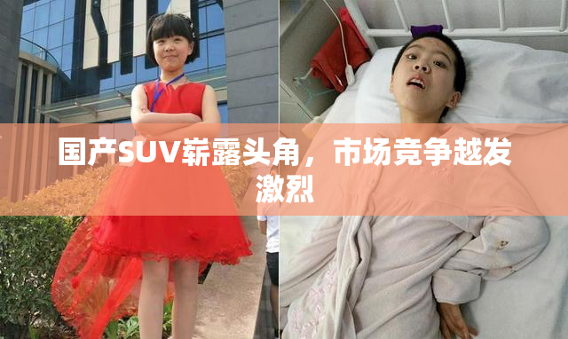 国产SUV崭露头角，市场竞争越发激烈