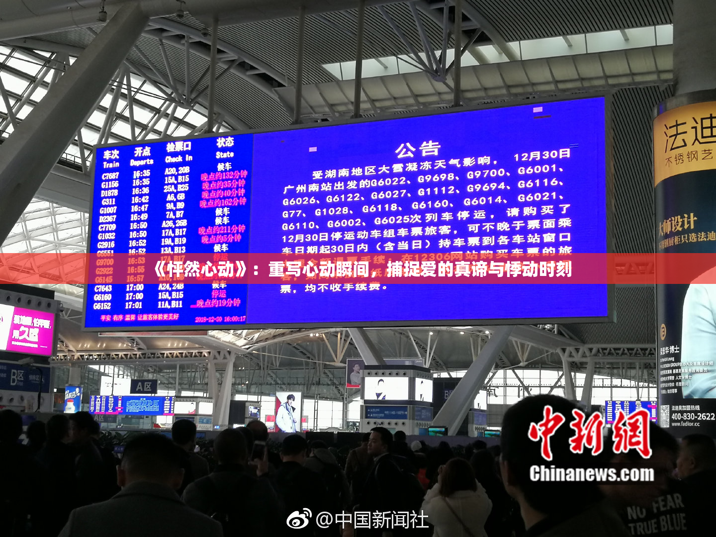《怦然心动》：重写心动瞬间，捕捉爱的真谛与悸动时刻