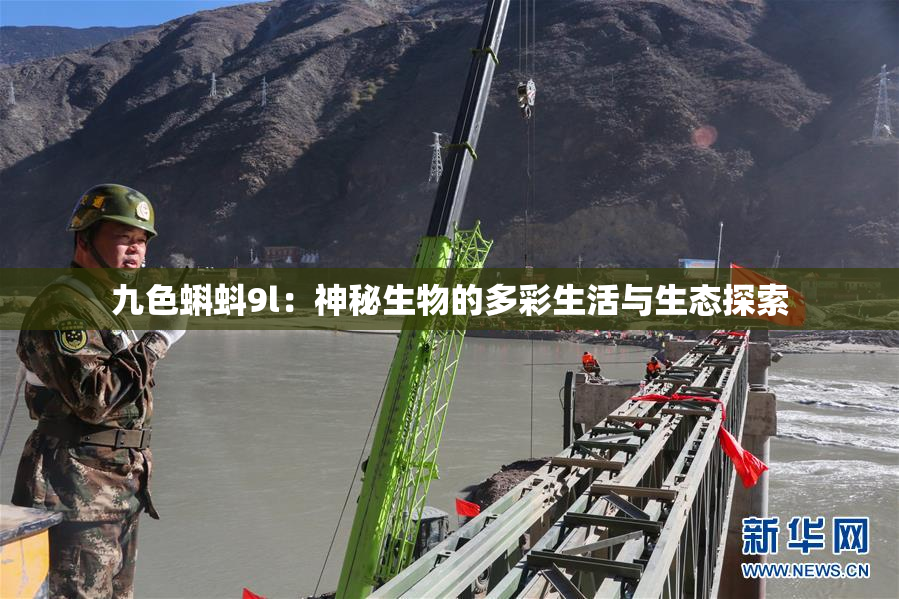 九色蝌蚪9l：神秘生物的多彩生活与生态探索
