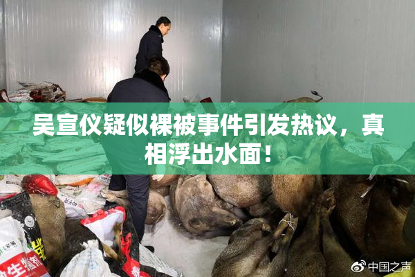 吴宣仪疑似裸被事件引发热议，真相浮出水面！