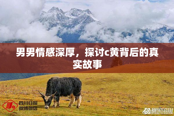 男男情感深厚，探讨c黄背后的真实故事