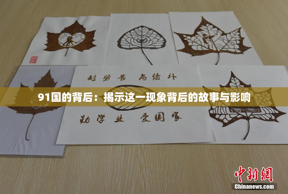91国的背后：揭示这一现象背后的故事与影响