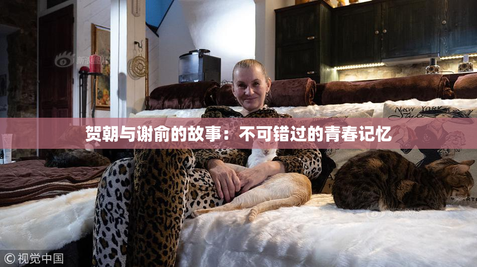 贺朝与谢俞的故事：不可错过的青春记忆