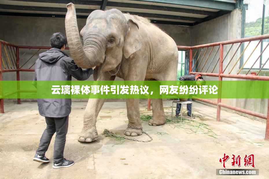 云璃裸体事件引发热议，网友纷纷评论