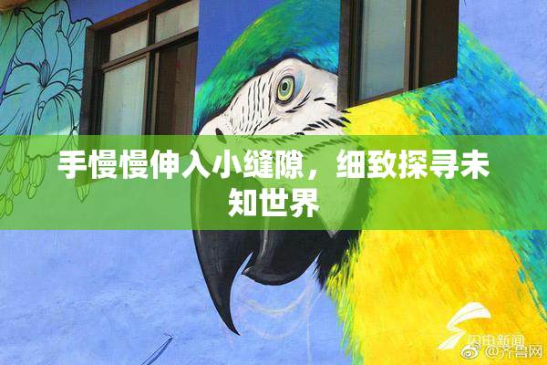 手慢慢伸入小缝隙，细致探寻未知世界