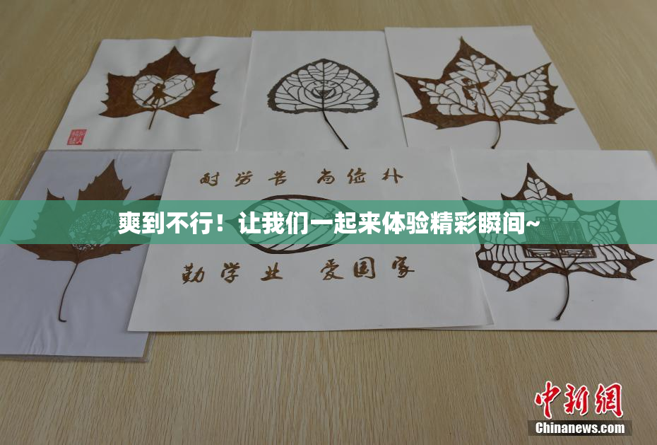 爽到不行！让我们一起来体验精彩瞬间~