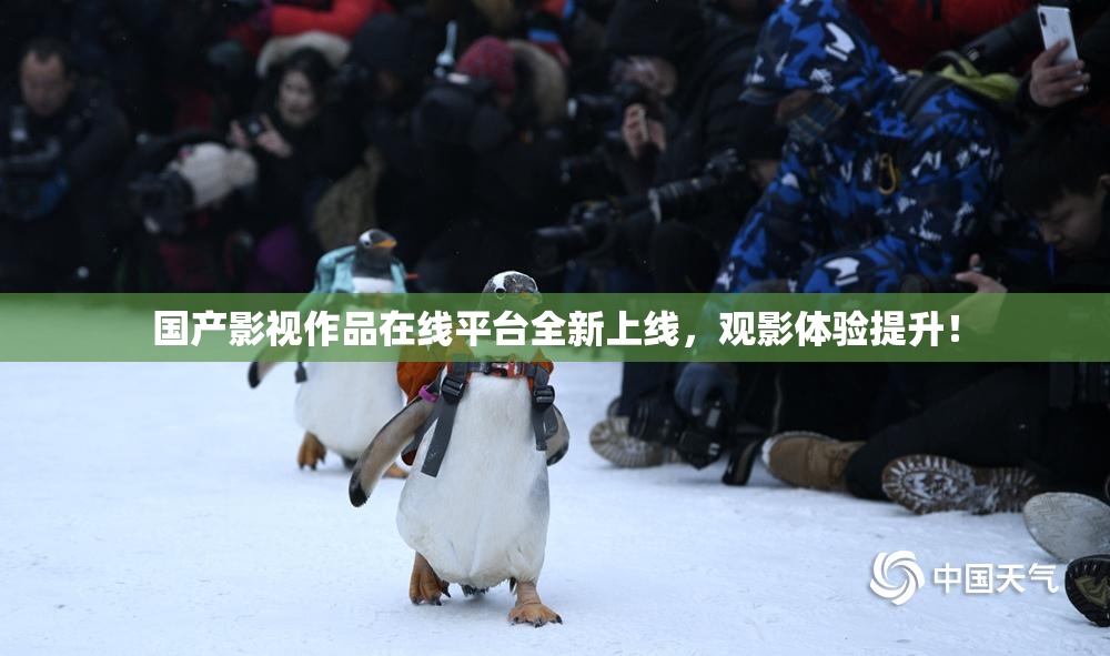 国产影视作品在线平台全新上线，观影体验提升！