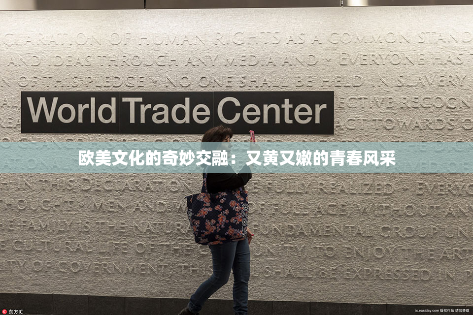 欧美文化的奇妙交融：又黄又嫩的青春风采