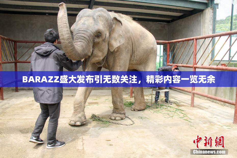 BARAZZ盛大发布引无数关注，精彩内容一览无余