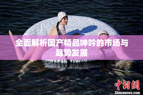全面解析国产精品呻吟的市场与趋势发展