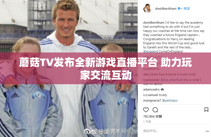 蘑菇TV发布全新游戏直播平台 助力玩家交流互动