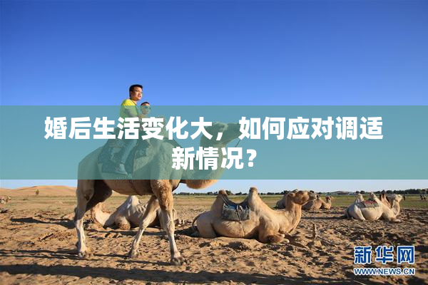 婚后生活变化大，如何应对调适新情况？
