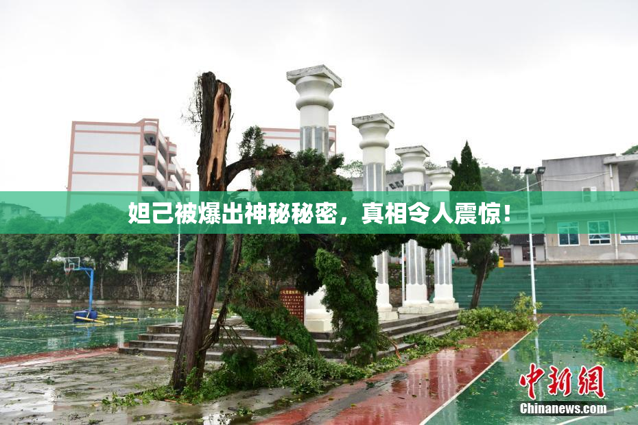 妲己被爆出神秘秘密，真相令人震惊！