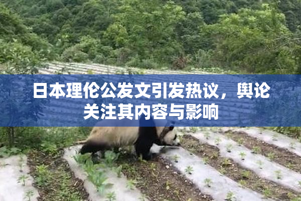 日本理伦公发文引发热议，舆论关注其内容与影响