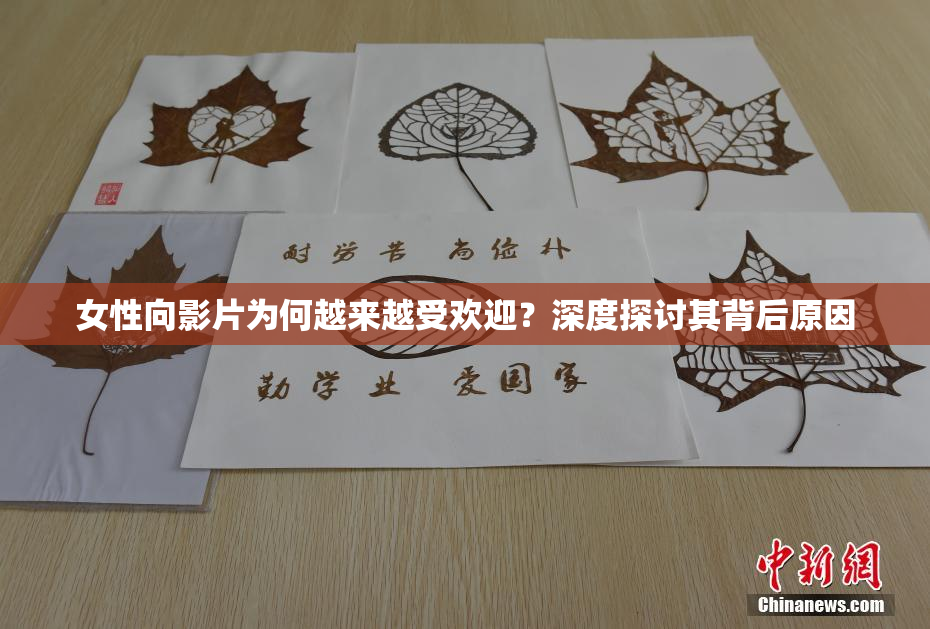 女性向影片为何越来越受欢迎？深度探讨其背后原因